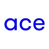 Team Building sul Lago Maggiore: un’esperienza indimenticabile per Ace Works