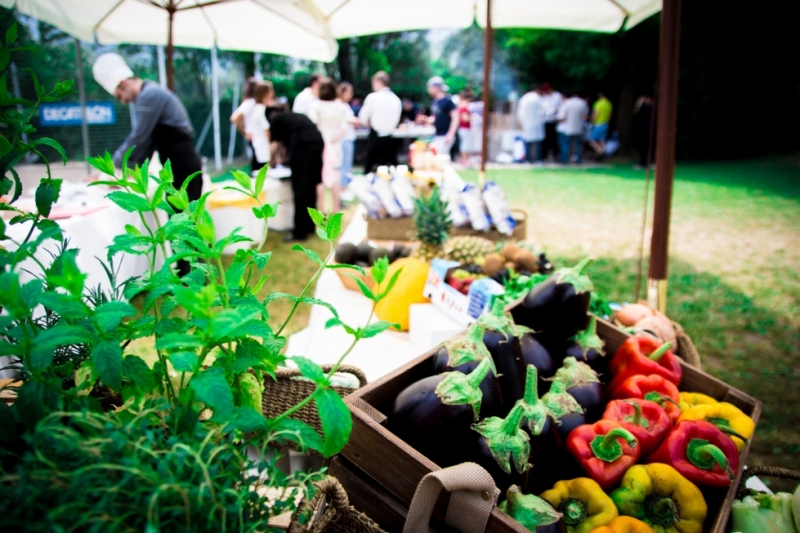 Smart Eventi per Canadian Solar: BBQ Team building sul Lago di Iseo - 0