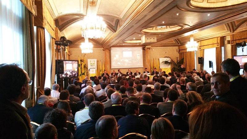 Verso Expo 2015 - 8